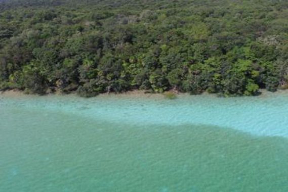 TERRENO BACALAR-3